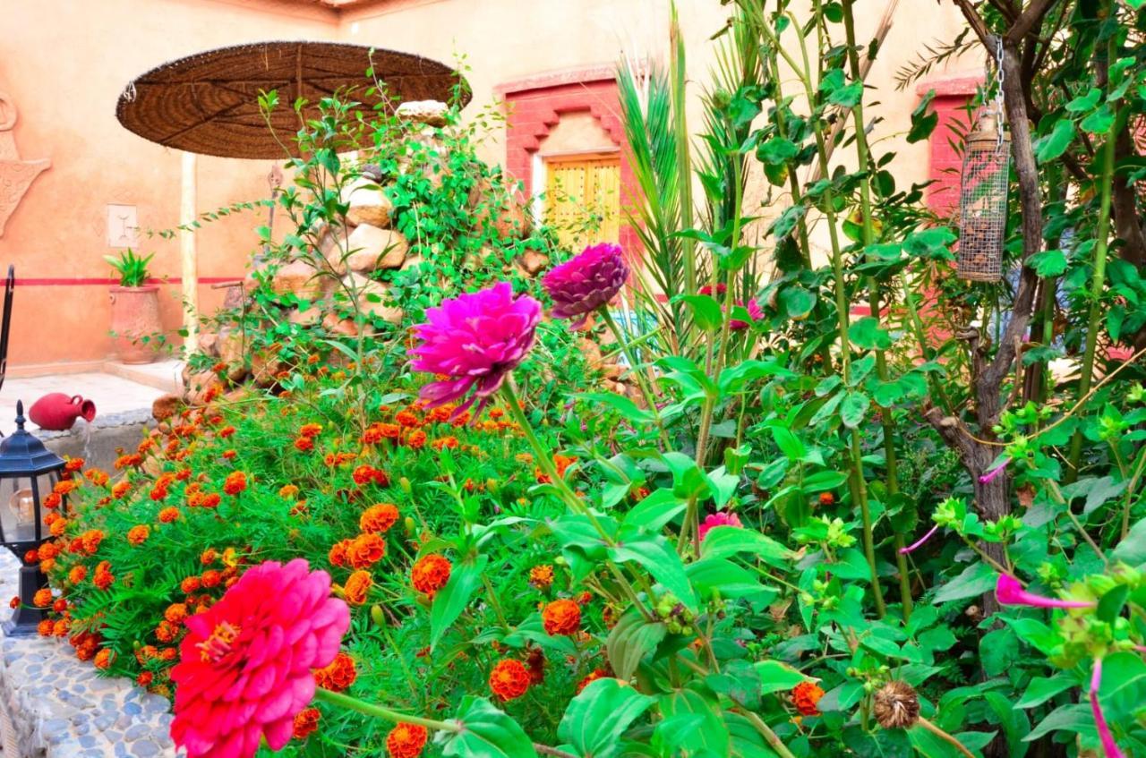 Hotel Kasbah Tussna Boumalne Exterior foto